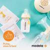 imageBreast Milk Collection and Storage Bottles with Solid Lids  6pk5oz150mL Breastmilk Container Compatible with Medela Breast Pumps and Made Without BPA6 Count Pack of 3
